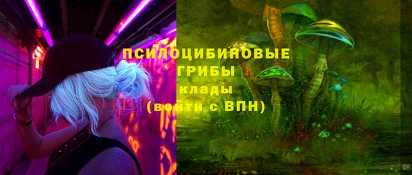 мдпв Арсеньев